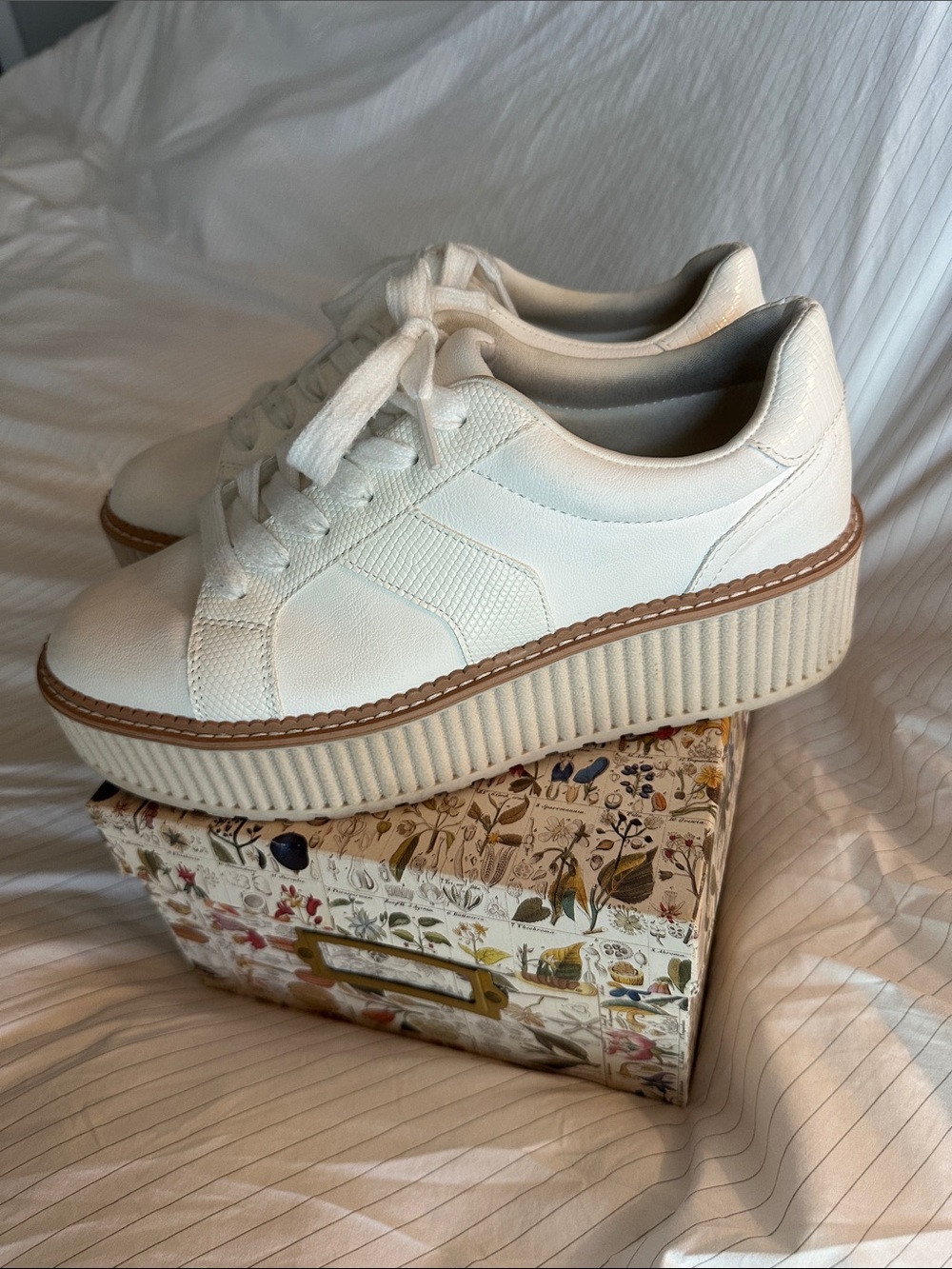 DV by Dolce Vita White/Cream Platform Lace-Up Sneakers
